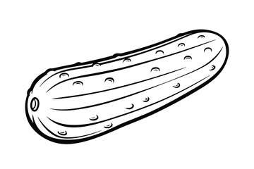 Stylized Cucumber Illustration For Culinary Themes And Healthy Eating Black And White Vegetable Art