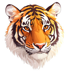 Fototapeta premium head of tiger