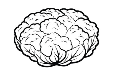 Black And White Cauliflower Illustration Fresh Vegetable Graphic Design For Coloring Books And Educational Resources Healthy Eating Concept
