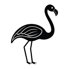 flamingo vector illustration
