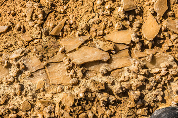 Dry cracked earth showing mineral deposits in desert landscape