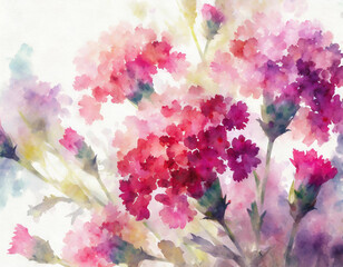 Beautiful abstract carnation design, flower background - 카네이션 디자인, 꽃 배경