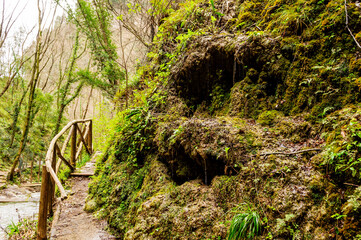 A footpath, the beautiful Valle delle Ferriere hiking trail. Amalfi, Italy. Valley of the Ferriere, Italy. The path between ferns, streams and waterfalls. 