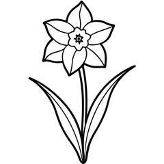 Simple Line Drawing of a Single Daffodil Flower Bloom