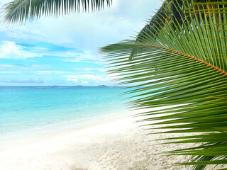 Amazing nature beach with palm trees and blue sky. Summer vacation travel holiday background. Paradise beach. Luxury travel summer holiday tourism. Sunny coast fantastic pristine sea water