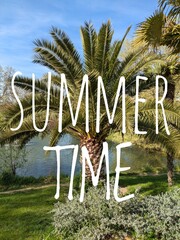 Vacaciones de verano. Mensaje con texto Summer Time con palma con estanque y cielo azul