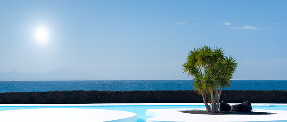 Tropical beach with agave tree