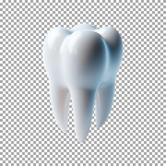 A detailed 3D render of a single human tooth, Professional 3D Tooth Graphic for Dental Education on transparent background, png, psd
