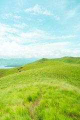 Fototapeta premium Grassy rolling hills under sunlit skies, ideal for countryside and outdoor themes.