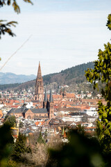 Naklejka premium Freiburg cityscape with Muenster cathedral seen from Lorettoberg
