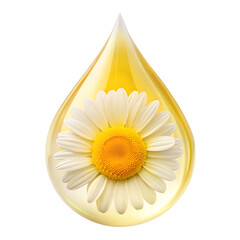 Chamomile essential oil drop isolated on transparent background.
