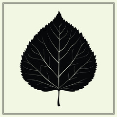 Leaf Silhouette, Botanical Shape