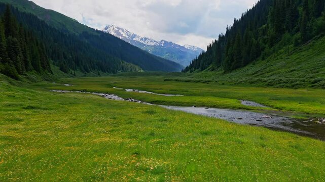 A Breathtaking Ultra-HD Video of a Verdant Valley with Rolling Meadows and Majestic Mountains, Capturing Nature's Timeless Beauty