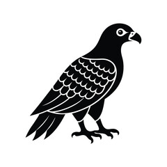 Majestic eagle vector illustration, a wild bird silhouette isolated on white.