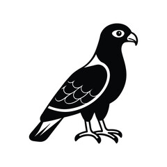 Majestic eagle vector illustration, a wild bird silhouette isolated on white.