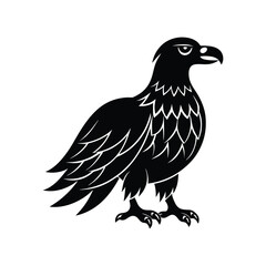 Majestic eagle vector illustration, a wild bird silhouette isolated on white.