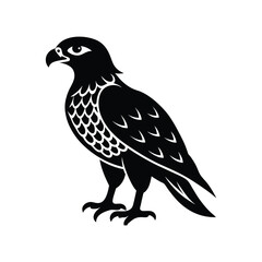 Majestic eagle vector illustration, a wild bird silhouette isolated on white.