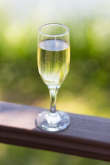 A beautiful glass of wine is elegantly sitting on a sturdy wooden railing, showcasing the delightful drink it holds within