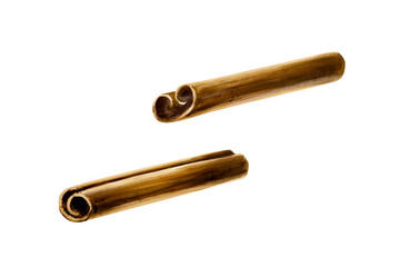 Cinnamon sticks. Watercolor hand drawn aromatic Christmas spice illustration isolated on transparent background. For designers, menu, decoration, food blog, ecofriendly branding. Healthy Vegetarian