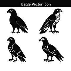 Cute cartoon vector illustration set of different birds like owl, sparrow, chicken, duck with wing and feather design elements for nature art.