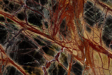 Excellent Rainforest Green Extra - marble background, texture in beautiful dark tone for your interior.