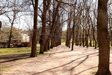 Park
