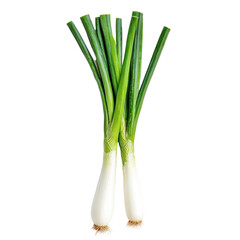 Freshly sliced green onion on Transparent background for culinary use and presentation, slice green onion isolated on PNG background