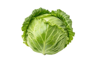 Fresh green cabbage head with crumpled leaves on a white surface, vegetable, healthy food