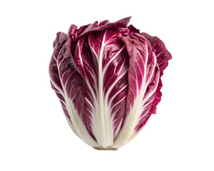 Obraz premium Fresh radicchio bunch with purple-red curly leaves, leafy greens, healthy vegetables