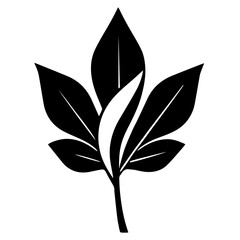 Black and white vector silhouette of a leaf on white background
