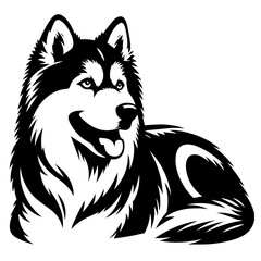 Black and white vector silhouette of a husky on white background
