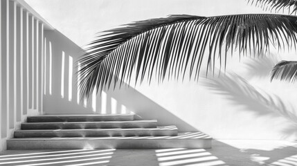 Naklejka premium A black and white photograph of a staircase with a palm tree in the background.