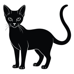abyssinina cat vector