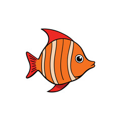  flame angelfish on white background