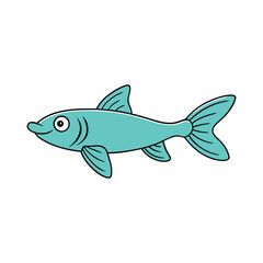 Obraz premium guppy on white background.