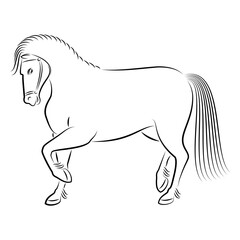 Silhouette of a beautiful strong horse. The animal runs fast. Picture for aesthetic decor, posters, stickers, logo. Vector illustration