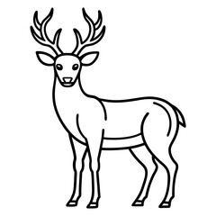Fototapeta premium deer line art picture