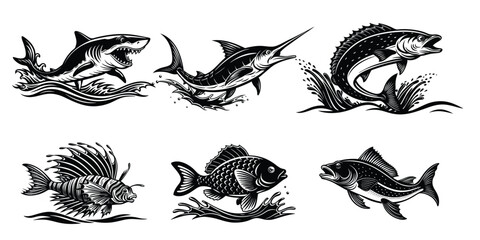 Collection of various fish illustrations in black and white