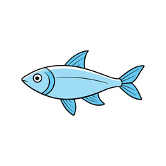  tetra fish on white background