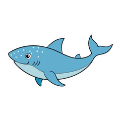  whale shark on white background