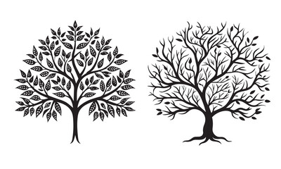 Tree and forest silhouette