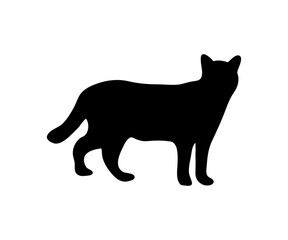 black silhouette of a cat vector isolated on white 