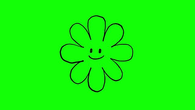 4K Hand drawn smily flower icon frame by frame animation on chroma key green screen background.	