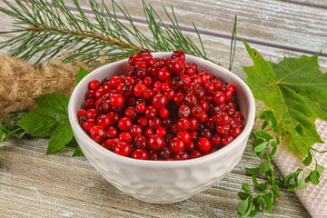Natural organic wild forwst lingonberry