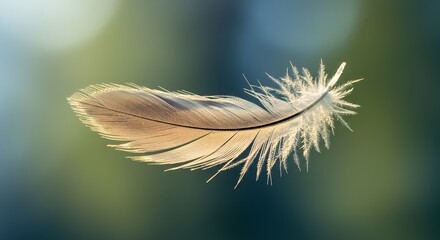 Floating Feather Macro on Soft Green and Blue Background