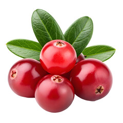 Cranberries: Fresh, Red Berries, Healthy Food on transparent background