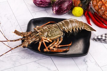 Raw wild fresh spiny lobster