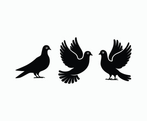 Fototapeta premium Mourning Dove Silhouette Collection EPS Vector Template