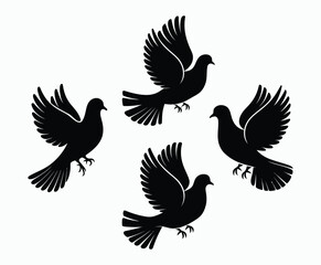 Fototapeta premium Mourning Dove Silhouette Vector Illustration Template