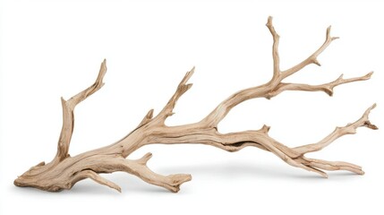 A natural driftwood branch with a twisted and gnarled appearance.
